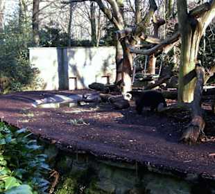 Zoo Dortmund - Die Tiere
