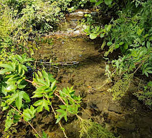 Wandern Schmallenberg