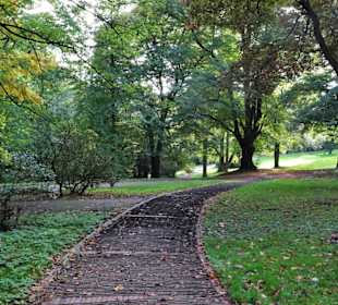 Eindrücke aus dem herbstlichen Knoops Park