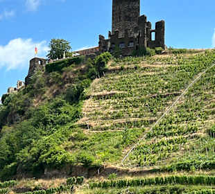 Burg Metternich