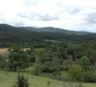 Naturschutzgebiet Zollerhalde Zimmern