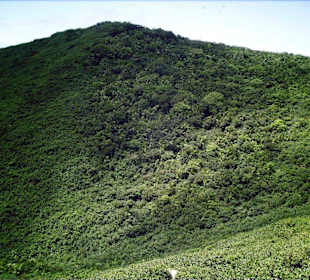Nationalpark Cerro El Copey auf dem Berg