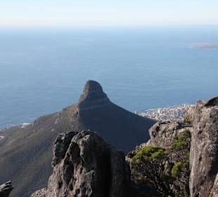 Blick auf den Lions Head