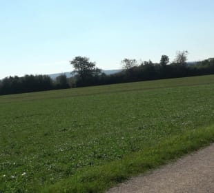 Kelten-Erlebnis-Pfad Erkenbrechtsweiler