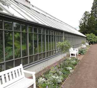 Tropenhaus im Schlossgarten