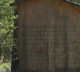 Waldlehrpfad an der Lauter