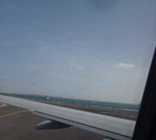 Leider wieder nach Hause