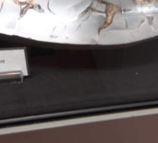 Museum für Mineralien und Mathematik