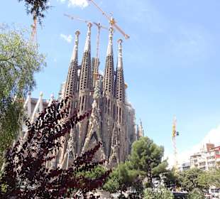 Vom davor gelegenen Park