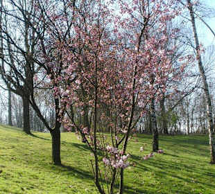 Frühling im Freizeitpark