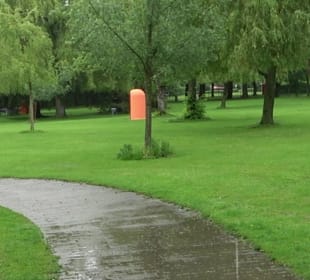 Wandern rund um den Stadtsee