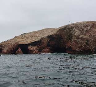 Ausflug Ballestas Inseln