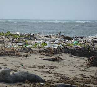 Strand links vom Hotel