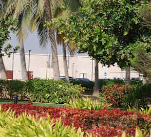 Garten vor dem Palast