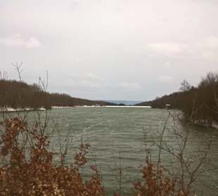 Winter am Ellertshäuser See