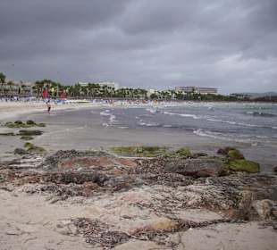 Der Nachbar-Strand Sa Coma