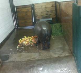 Zoo Olomouc