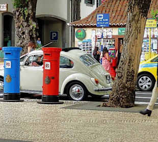 In der Avenida Arriaga im Zentrum von Funchal