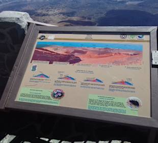 Teide Nationalpark in Las Canadas del Teide