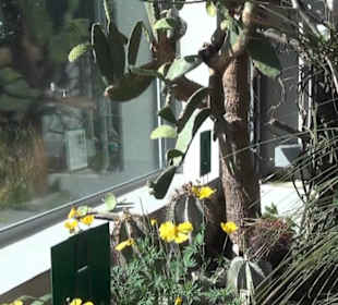 Botanischer Garten