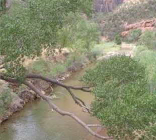 Zion Nationalpark