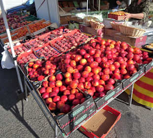 Impressionen vom Wochenmarkt Saint-Cyprien-Plage