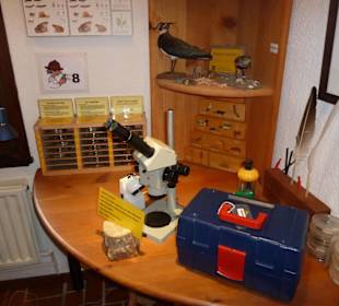 Der Mikroskopierplatz