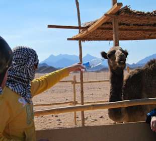 Beduinendorf beim Quad fahren