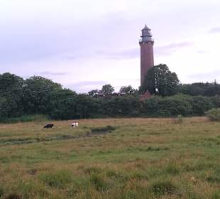 Leuchtturm Neuland