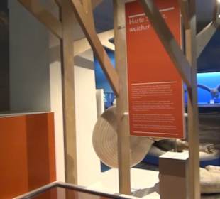 Niedersächsisches Landesmuseum