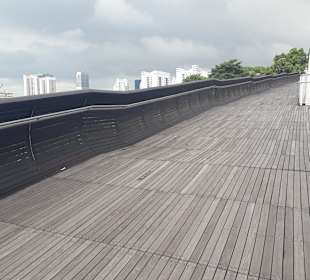 Henderson Waves Bridge