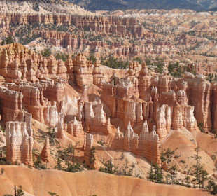 Bryce Canyon N.P.