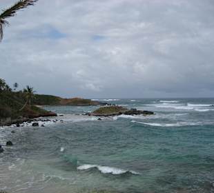 Küste von Little Corn Island