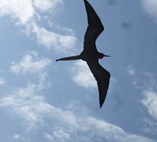 Wir werden minutenlang begleitet