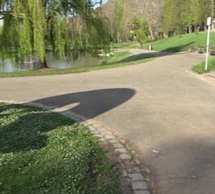 Nymphensee Stuttgart