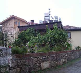 Obstgarten in Altstadtgasse
