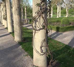 Rosengarten Stuttgart