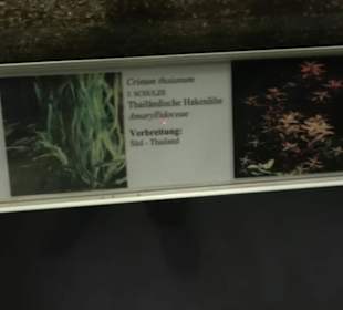 Aquarium