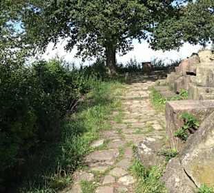 Birkenkopf