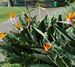 Parque de Santa Catarina