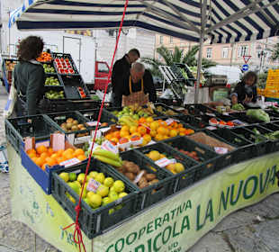 Markt auf der Piazza Sant'Antonio Nuovo