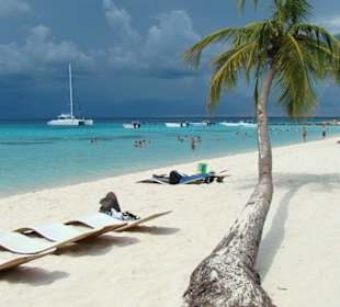 Saona Beach