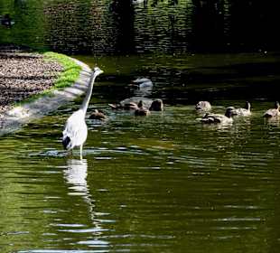 Stadtpark Wien
