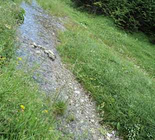 Tatrzański Park Narodowy