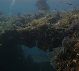 Die Überreste der Liberty