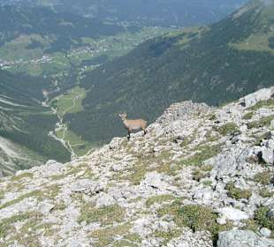 Mindelheimer Klettersteig