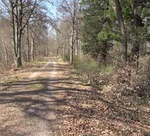 Geologischer Lehrpfad Kirnbachtal