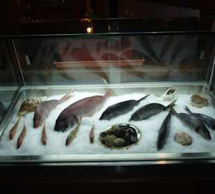 Frischer Fisch