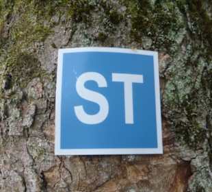 Sisi-Tour: kleiner Eindruck von unterwegs