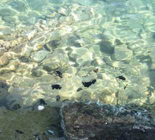 Bootsausflug Paradise Inseln